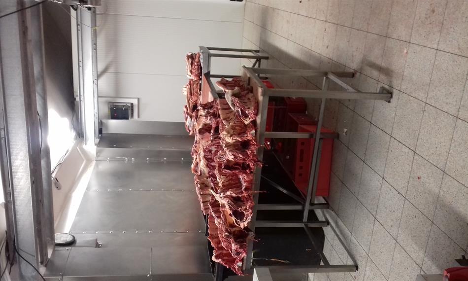 2019-6-17-10278.3. (3).jpg